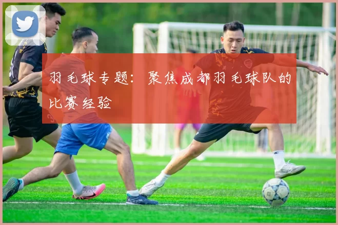 羽毛球专题：聚焦成都羽毛球队的比赛经验