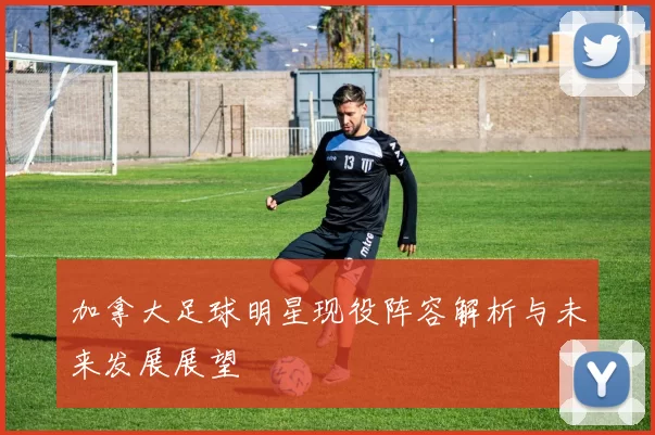 加拿大足球明星现役阵容解析与未来发展展望